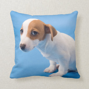 Cojín Decorativo Perrito de Jack Russell