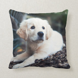 Cojín Decorativo Perrito de Labrador que juega en el jardín