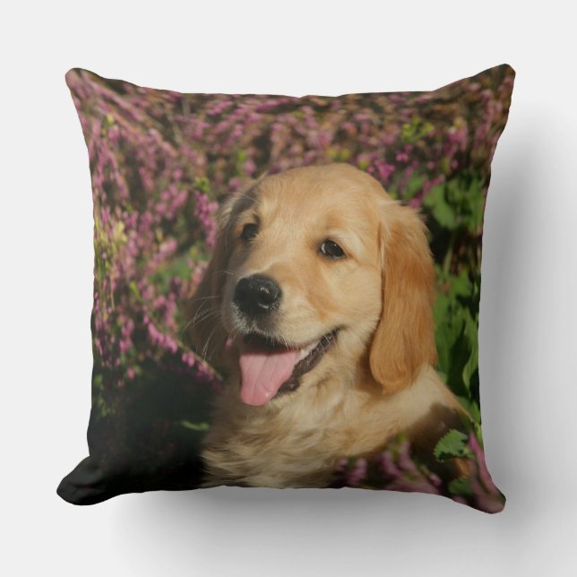 Cojín Decorativo Perrito de oro de Retreiver (Anverso)