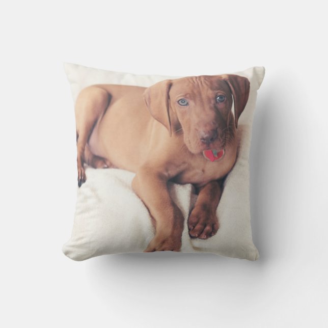 Cojín Decorativo Perrito de Vizsla del húngaro (Anverso)