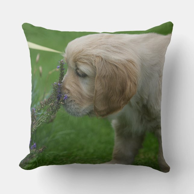 Cojín Decorativo Perrito del golden retriever (Anverso)