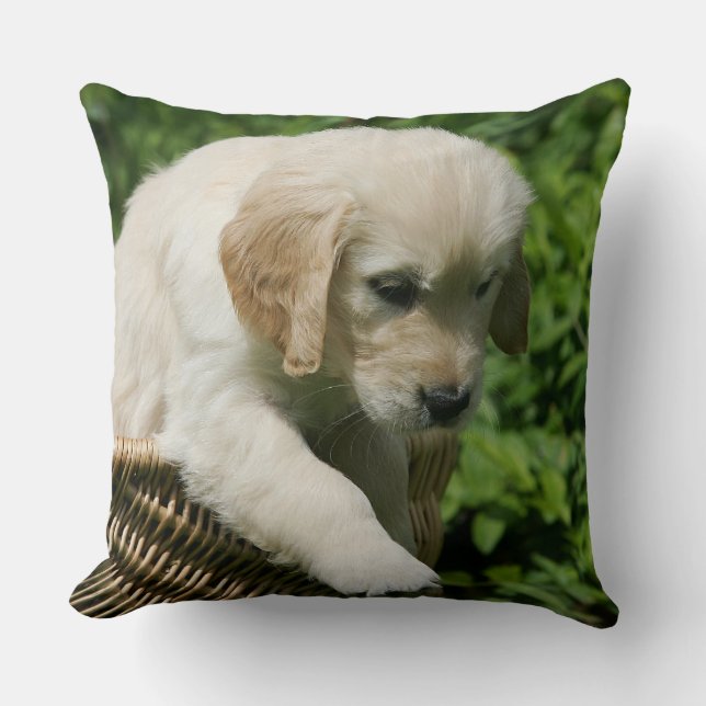 Cojín Decorativo Perrito del golden retriever en cesta (Anverso)