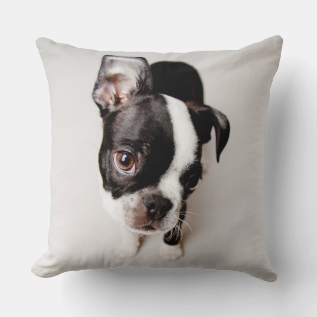 Cojín Decorativo Perrito Edison Boston Terrier. (Anverso)