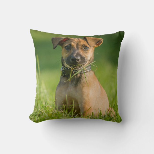 Cojín Decorativo Perrito en la hierba (Anverso)