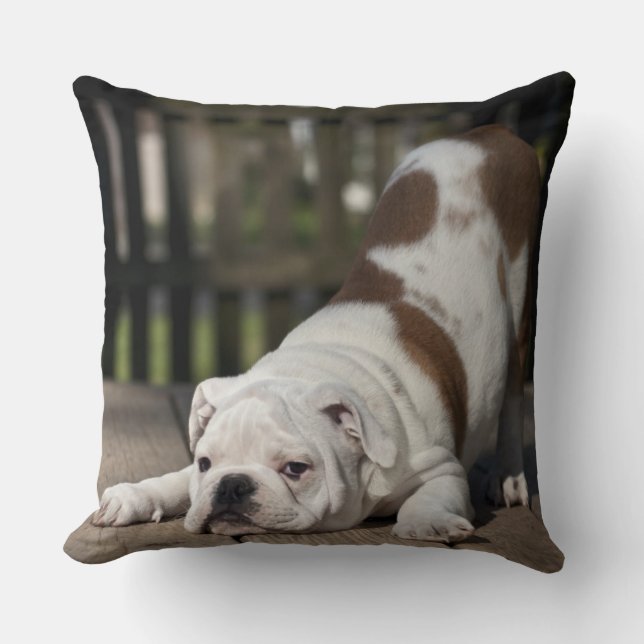 Cojín Decorativo Perrito inglés del bulldog (Anverso)