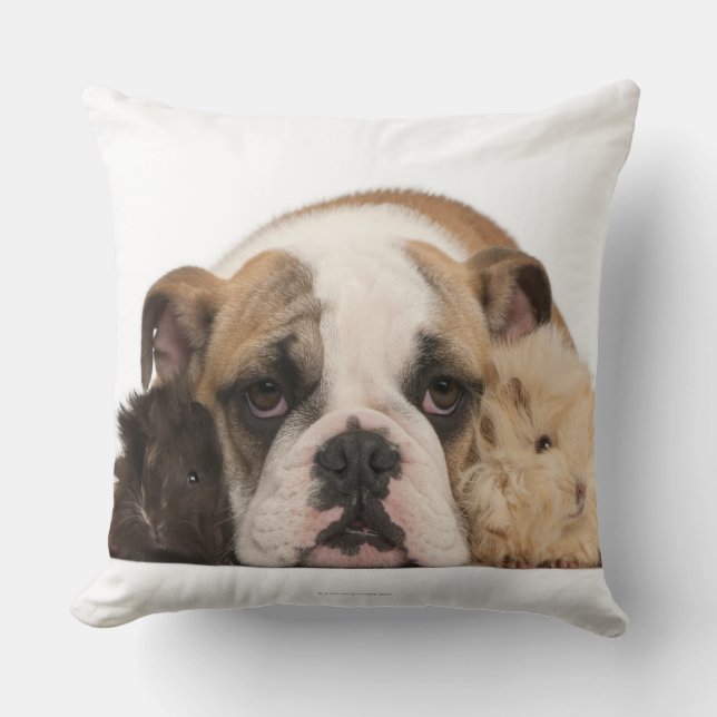 Cojín Decorativo Perrito inglés del bulldog (4 meses) y guine dos (Anverso)