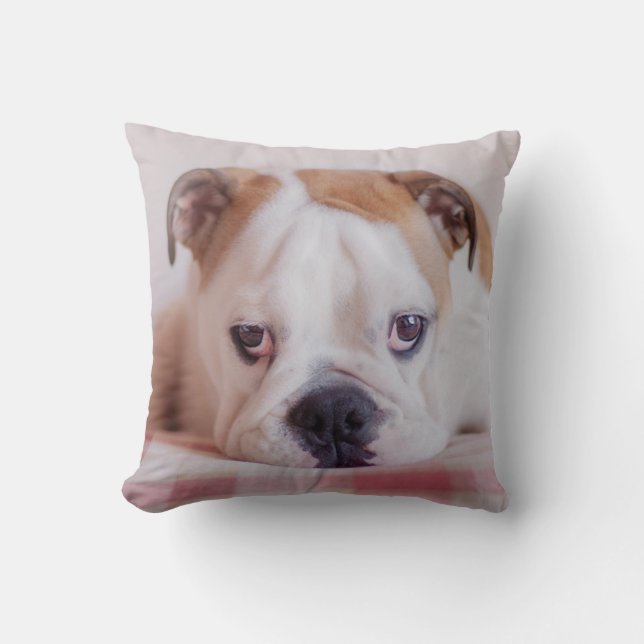 Cojín Decorativo Perrito inglés tímido del bulldog (Anverso)