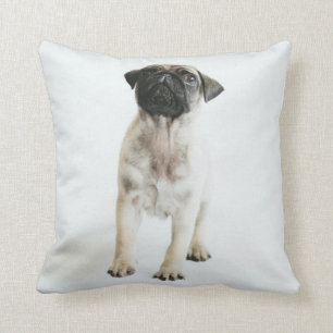 Cojín Decorativo Perrito lindo del barro amasado