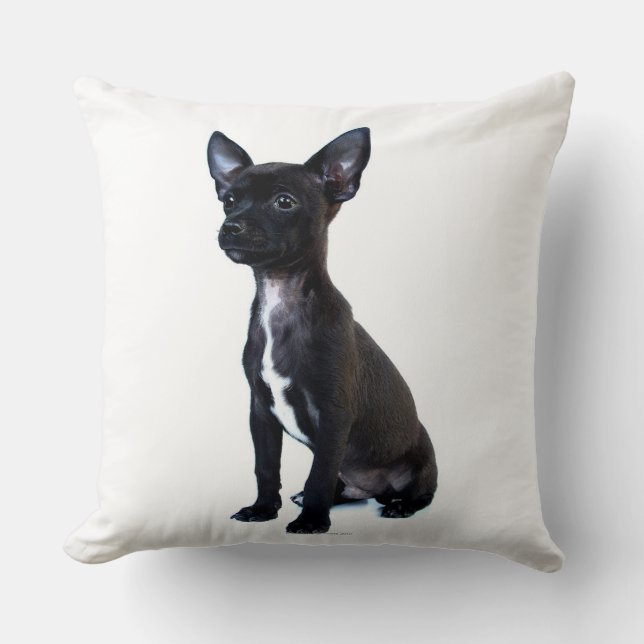 Cojín Decorativo Perrito negro de la chihuahua (Anverso)