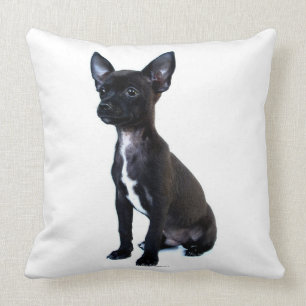 Cojín Decorativo Perrito negro de la chihuahua