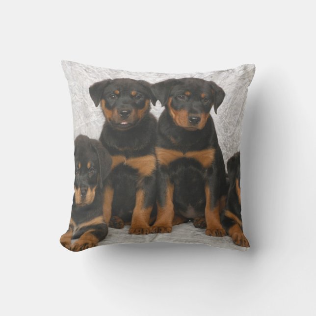 Cojín Decorativo Perritos de Rottweiler (Anverso)