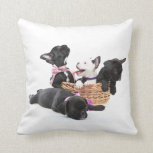 Cojín Decorativo Perritos del bulldog francés
