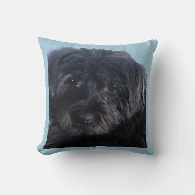 Cojín Decorativo Perro afortunado (Anverso)