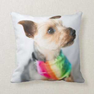 Cojín Decorativo Perro arco iris del orgullo gay  Yorkshire Terrier
