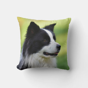 Cojín Decorativo Perro Border Collie negro y blanco