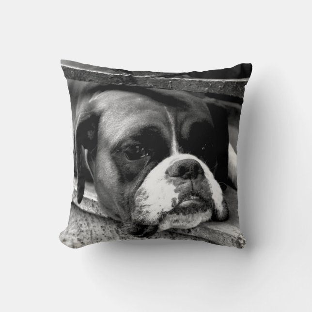 Cojín Decorativo Perro Boxer En Windowsill tpcnm (Anverso)