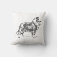 Perro Collie