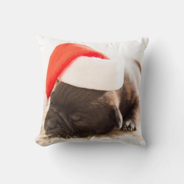 Cojín Decorativo Perro con gorra de Año Nuevo (Anverso)