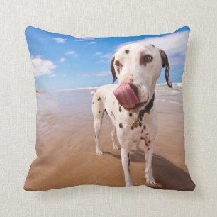 Cojín Decorativo Perro dálmata en la playa