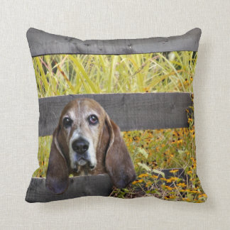 Cojín Decorativo Perro de afloramiento