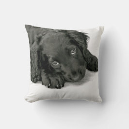 Cojín Decorativo Perro de aguas Dave de Sprocker