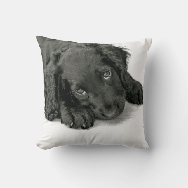 Cojín Decorativo Perro de aguas Dave de Sprocker (Anverso)