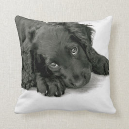 Cojín Decorativo Perro de aguas Dave de Sprocker