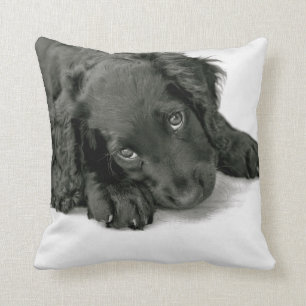 Cojín Decorativo Perro de aguas Dave de Sprocker
