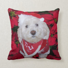 Cojín Decorativo Perro de Bichon Frise del navidad