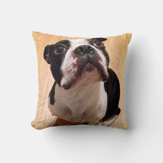 Cojín Decorativo Perro de Boston Terrier (Anverso)