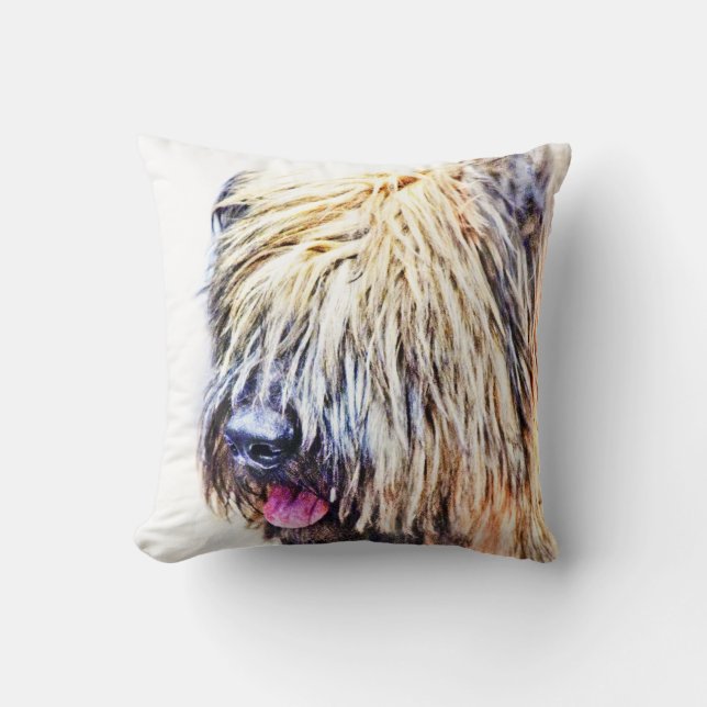 Cojín Decorativo Perro de Briard (Anverso)