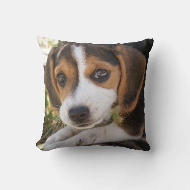 Cojín Decorativo Perro de cachorro Beagle (Anverso)