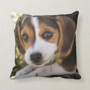 Cojín Decorativo Perro de cachorro Beagle