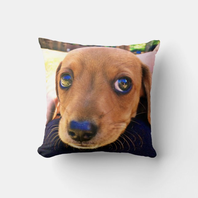 Cojín Decorativo Perro de cachorro de Dachshund marrón (Anverso)