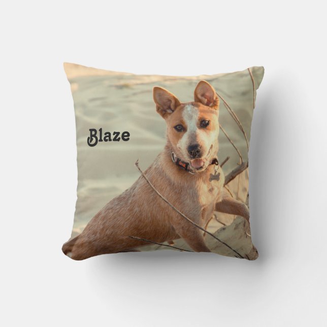 Cojín Decorativo Perro de ganado rojo australiano - Heeler - en la  (Anverso)