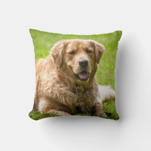 Cojín Decorativo Perro de Golden Retriever