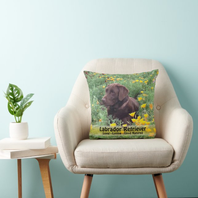 Cojín Decorativo Perro de Labrador Marrón en foto de parche de amap (Silla)