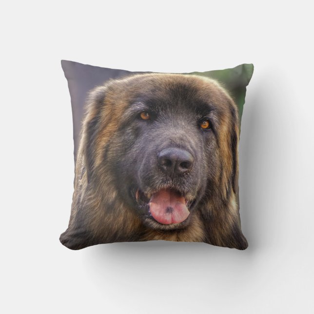 Cojín Decorativo Perro de Leonberger (Anverso)