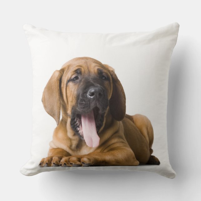 Cojín Decorativo Perro de perrito (Anverso)