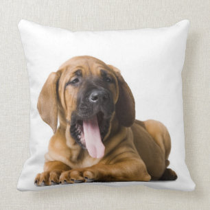 Cojín Decorativo Perro de perrito