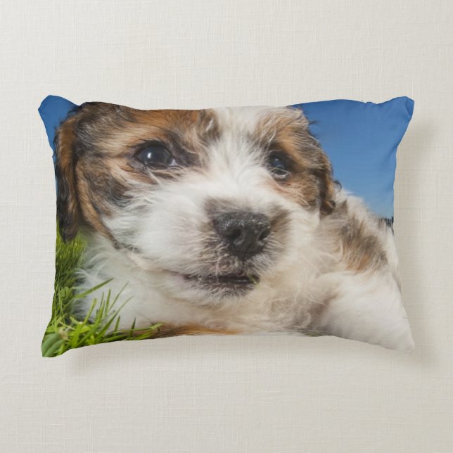 Cojín Decorativo Perro de perrito lindo (Shitzu) (Anverso)