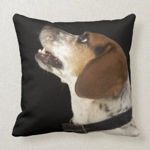 Cojín Decorativo Perro del beagle con perfil negro del cuello