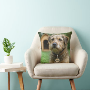 Cojín Decorativo Perro Desaliñado Adoptado Con Casa de Perro