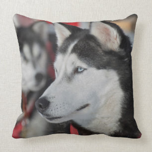 Cojín Decorativo Perro Husky antes de una carrera, Canadá