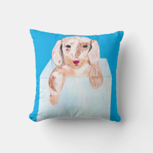 Cojín Decorativo Perro lindo con caja azul