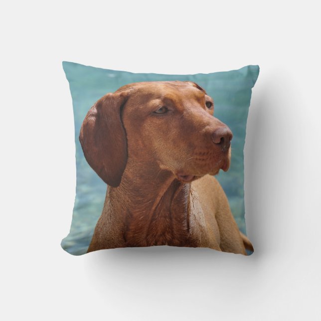 Cojín Decorativo Perro Magyar Vizsla (Anverso)