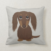 Perro marrón chocolate con pelo largo