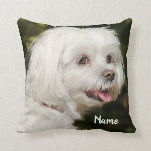Cojín Decorativo Perro picante maltés blanco personalizado