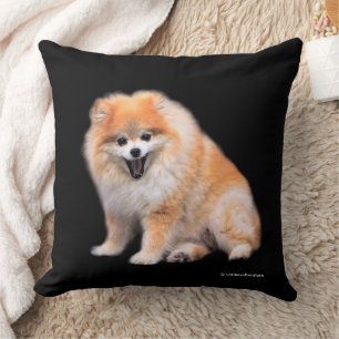 Cojín Decorativo Perro pomerano de ríe