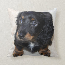 Cojín Decorativo Perro porcino de Dachshund negro